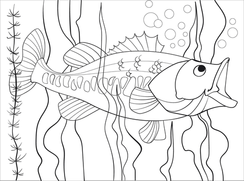 Largemouth Bass Coloring Page